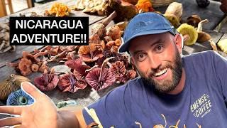 Foraging RARE Mushrooms in Nicaragua's Jungle! EPIC TRIP!