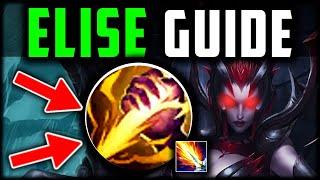 How to Elise Jungle & CARRY (MOST DMG DEALT) - Elise Jungle Beginners Guide Season 14