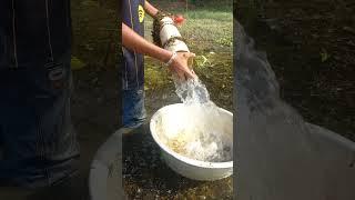 Best fishing video. Beautiful pipe fishing video #shorts #fish #fishing