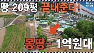 209평이 1억? 저수지근처+도로접한 땅 전원주택, 농막지로 딱!