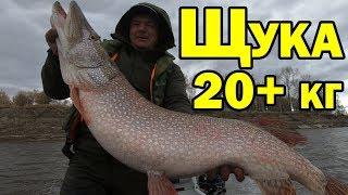 ЩУКА БОЛЕЕ  20 КГ. Эта снасть точно выдержит. Рыбалка на тяжелый джиг.