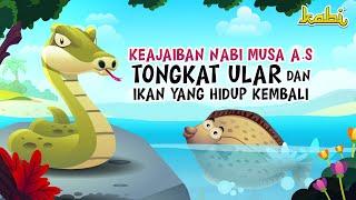 Mukjizat Nabi Musa AS Tongkat Ular & Ikan | Kisah Teladan Nabi | Cerita Islami | Cerita Anak Muslim