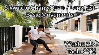 5 Wushu Chang Quan / Long Fist Basic Movements