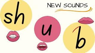 Teach Kids to Read: Take a Look at This Simple Trick to Master "SH B U"!