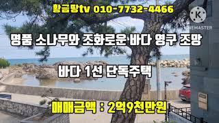 ((2억7천만원))영덕바닷가주택 명품 소나무와 파란 바다 조망이 멋진 바다 1선 전원주택