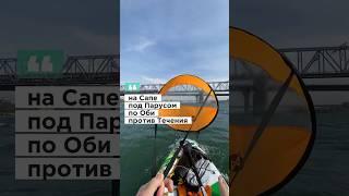 #sup #paddleboard #howitworks #follow  @P.A.Borodovsky