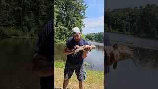 Amazing 1st Cast action worm and bobber #fishing #nature #catfishing #pondhopper