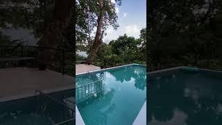 Munnar Budget pool Resorts@999 onwards cheapest pool resort #munnarpoolresorts #swimmingpool #munnar