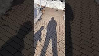 Футбольчик  #футбол #мяч #сын #сынок #играемвмяч #футбольчик