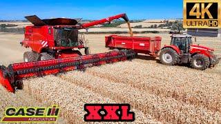 BIGGEST XXL MONSTER CASE 9250 Combiner Harvesting Wheat YORKSHIRE