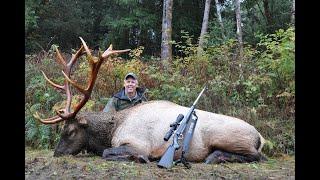Outdoor Quest Ep#1 2022 Roosevelt Elk on Vancouver Island
