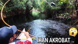 TERNYATA ADA IKAN TERBANG DISINI ..  ..