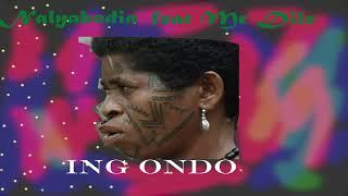 Mr Dile feat Nalyabodia - ING ONDO (Official audio)