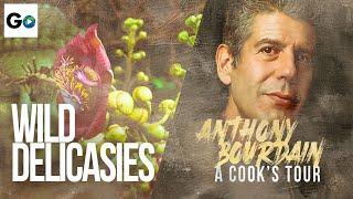 Anthony Bourdain A Cooks Tour Season 1 Episode 5: Wild Delicacies