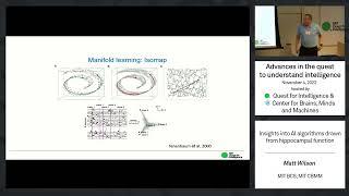 Insights into AI algorithms drawn from hippocampal function