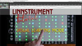 Using the Linnstrument as a Teaching Keyboard - Tutorial