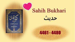 Sahih Bukhari Hadees in Urdu *(4461-4480)* Islamic Books Hadees