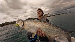 Insane Tarpon Fishing In Puerto Rico