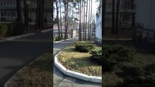 Центр реабилитации инвалидов