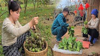 45-day journey of harvesting vegetables and fruits to sell at the market