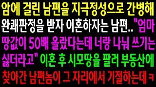 (반전사연)암에 걸린 남편을 지극정성으로 간병해 완쾌 판정을 받자 이혼하자는 남편..이혼 후 시모땅을 팔러 부동산에 찾아간 남편놈이 기절하는데ㅋ[신청사연][사이다썰][사연라디오]