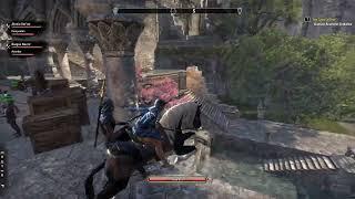 Elder Scrolls Online - my brother took me for a ride on his mount