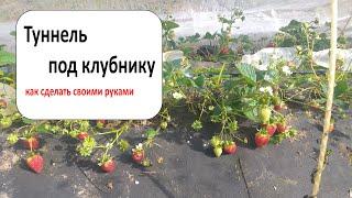 Туннель под клубнику своими руками. Как сделать туннель для выращивания клубники