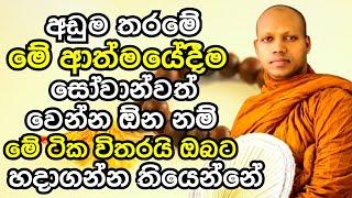 අඩුම තරමේ මේ ආත්මයේදීම සෝවාන්වත් වෙන්න ඕන නම් ඔබ කලයුතු දේ මෙන්න | Hasalaka Seelawimala Thero 2023