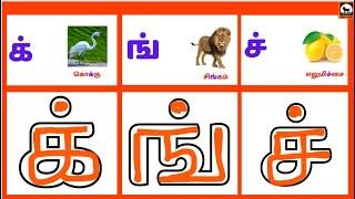 Mei Eluthukkal Writing Practice | How to write Tamil letters | Tamil letters writing Practice