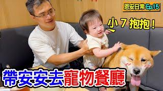 恩安日常Vlog15 ｜帶安安去寵物餐廳 柴犬小7的媽咪開頻道囉   - 恩恩老師 @EanTV