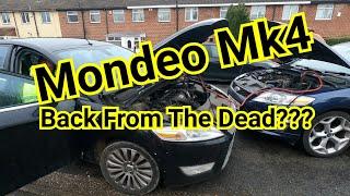 Project Black From The Dead - Buying & Recovering A Cheap Ford Mondeo Titanium X