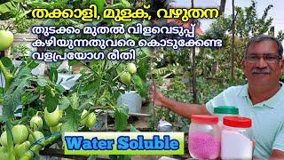 തക്കാളി, മുളക്, വഴുതന കൂടുതൽ വിളവിന് | Water Solubles Fertilizer use | Krishi Tips Malayalam