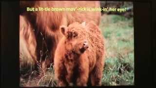 Oh, What A Beautiful Morning ! By Philip Shen and Grace Ha ( Lyrics)