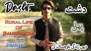 Dasht | The Rural Life Of Balochistan | دشت | دیہی زندگی بلوچستان کی | Vlog | School Entertainers