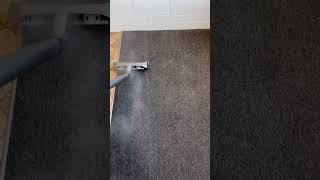 PG Clean & Restoration: Transforming Dirty Carpets in Christchurch Like a Boss! | Before & After