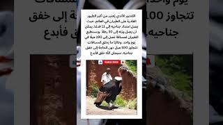 #قصص #قصص_واقعية #اكسبلور #حيوانات #عجائب #غرائب #كلاب #كلب #خيل #خيول #طبيعة #قطط #حصان #قطة #فرس
