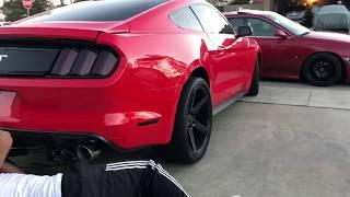 Vlog 7 : Rear Diffuser DIY ! (2015-2017 Mustang)