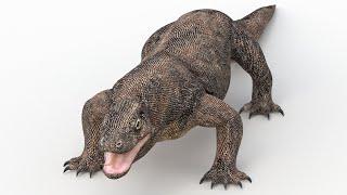 Komodo Dragon 3d Model for Download | @PROmax3D