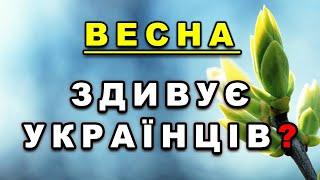 ВЕСНА ЗДИВУЄ УКРАЇНЦІВ?! Погода в Україні