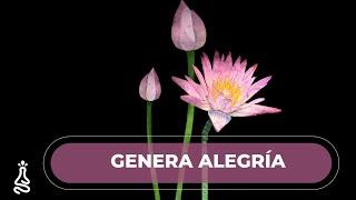 Meditación para Momentos Difíciles  Convierte la Tristeza, Ira, Frustración en Alegría y AMOR