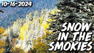 SNOW IN THE SMOKIES! Gorgeous Fall Color Mixes W/ Early Snowfall In Great Smoky Mountains Nat'l Park