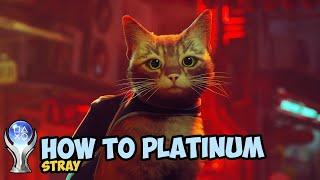 Stray | Complete Platinum Walkthrough Guide PS4,PS5