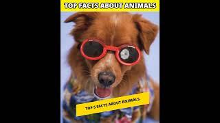 Top 5 Facts About Animals  #shorts #factsfrontline #amazingfacts #factsaboutanimals #factsinhindi