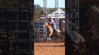 TEAM ROPING  • LAÇADAS • CAIO PROENÇA • LAÇO EM DUPLA PÉ #shorts