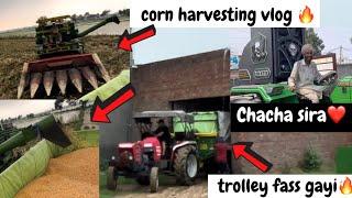 Corn harvesting vlog ️‍::arjun 605 DI sirra :: chacha sira ️