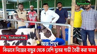 আজ শিখুন, কিভাবে নিজের বাছুর থেকে বেশি দুধের গাভী তৈরী করা যায় | Dr. Mehedi | Agriculture News