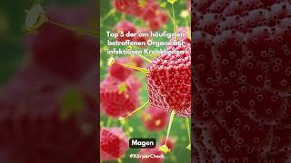 Top 5 der am häufigsten betroffenen Organe bei infektiösen Krankheiten #youtubeshorts #top5 #organe