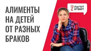 Алименты на детей от разных браков