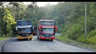 PERJUANGAN STREET HUNTING DI TIKUNGAN EKSTREEM ACEH || #seunapet