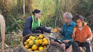 17 year old single mother, visiting grandparents and picking oranges to sell - ly nha hien